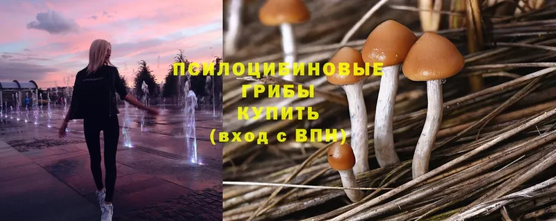 Псилоцибиновые грибы MAGIC MUSHROOMS  Лукоянов 